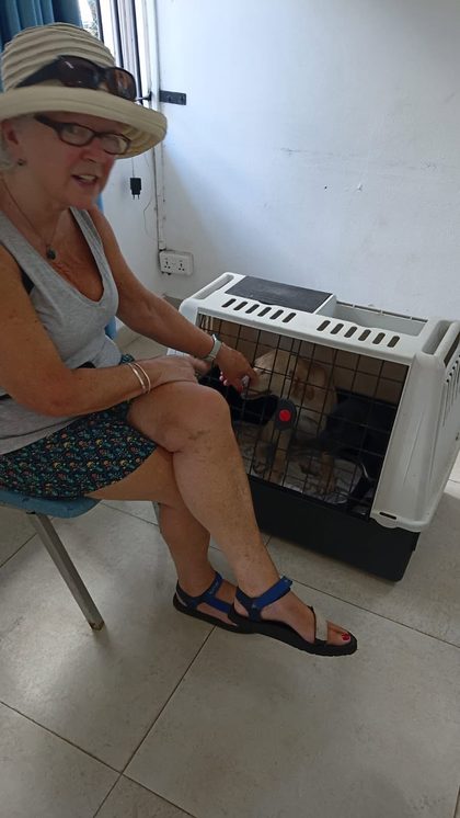 Woman in a sun hat sits beside a small dog inside a plastic pet carrier