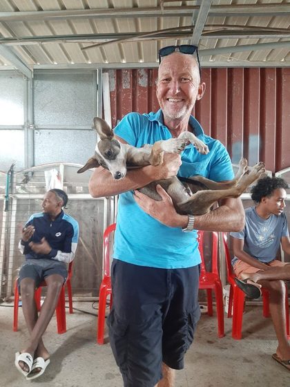 19 Animals Sterilised in One Day at Cité La Chaux