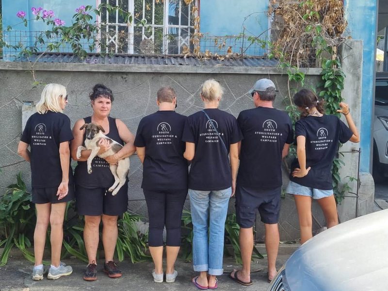 25 animals sterilised in Cité La Chaux