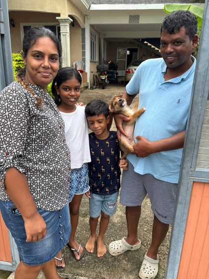 A busy week in Pointe d'Esny: sterilisations, a rescue, and new homes