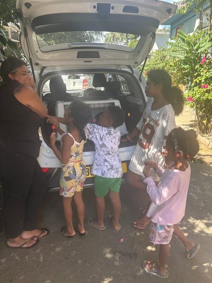 A Sterilisation Day in Cité La Chaux, in Memory of Joan and Sue
