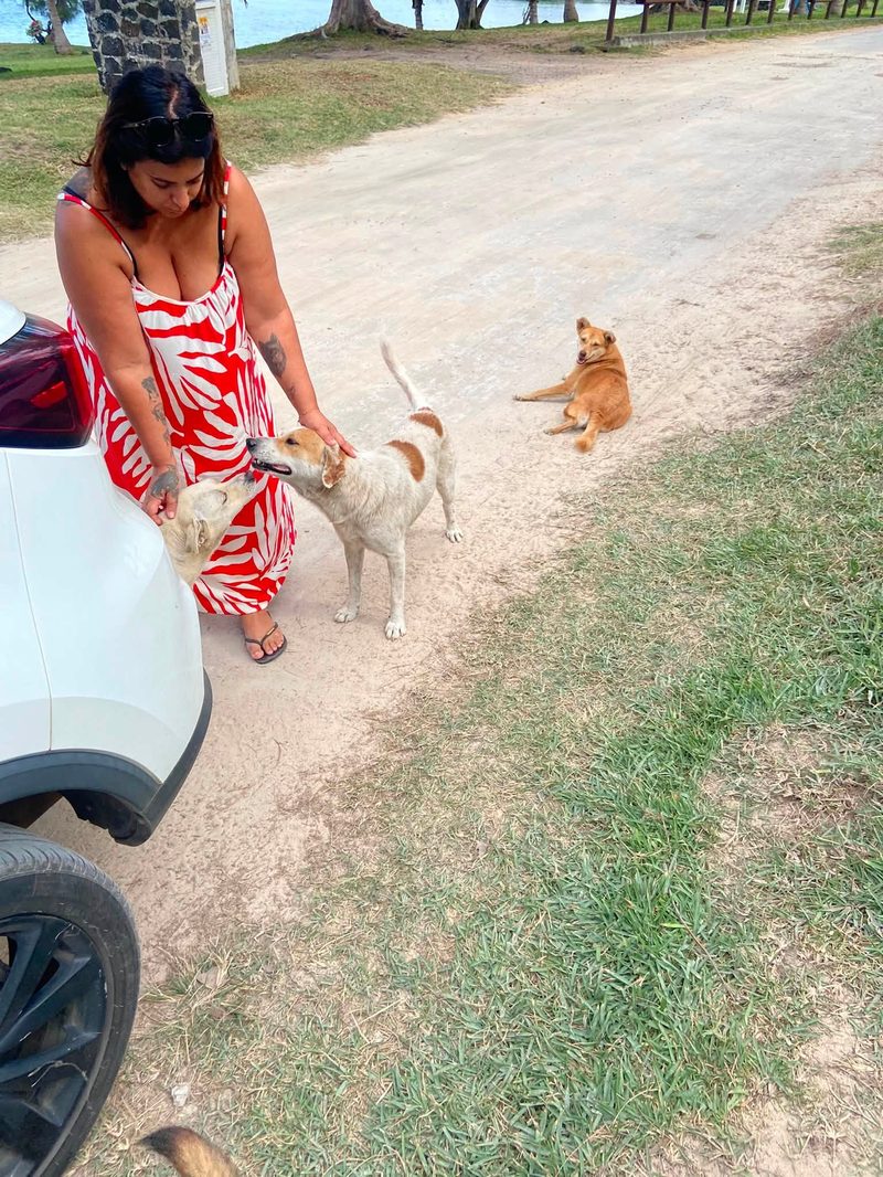 Woman in a red dress petting a dog beside a car as a tan dog lies nearby on a dirt road