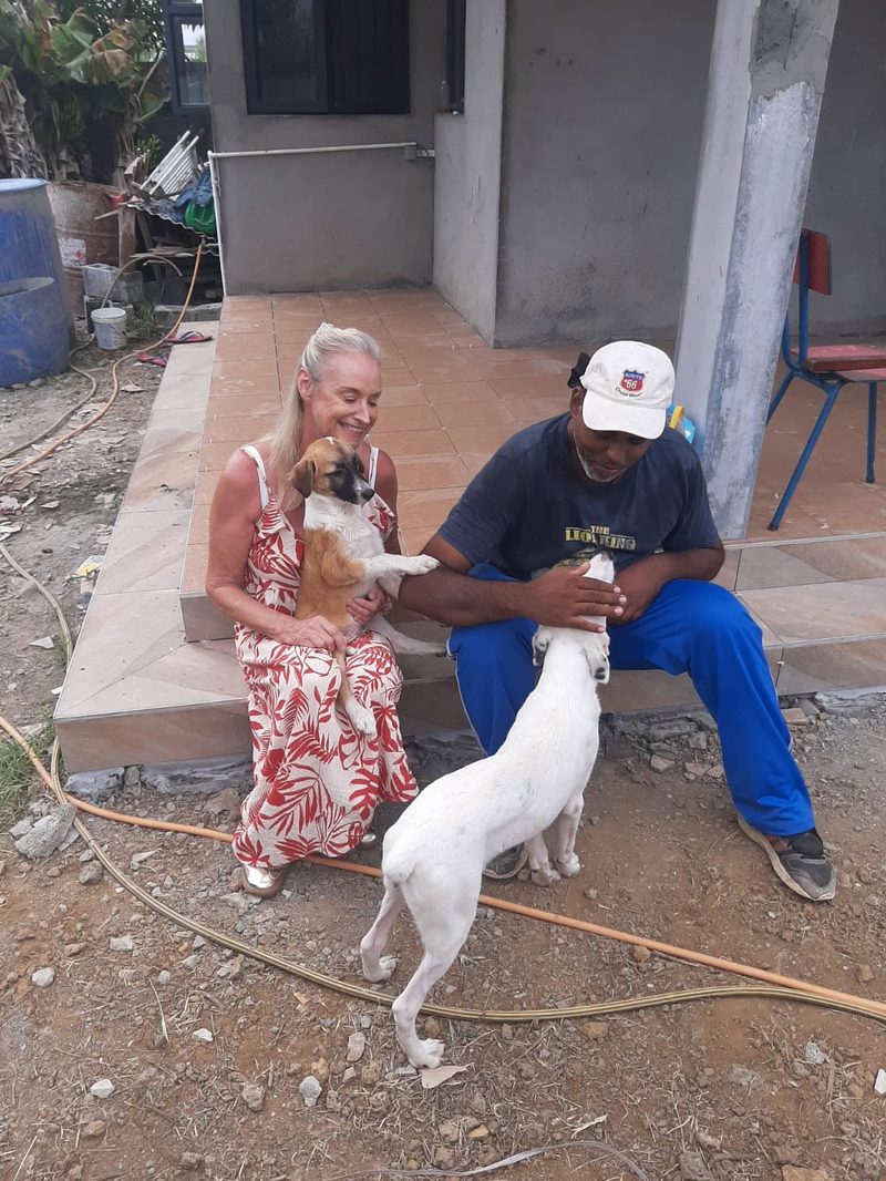 Woman and man sit on steps holding two small dogs, one dog standing on hind legs