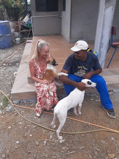 Two dogs with a woman and man seated on steps outside a building