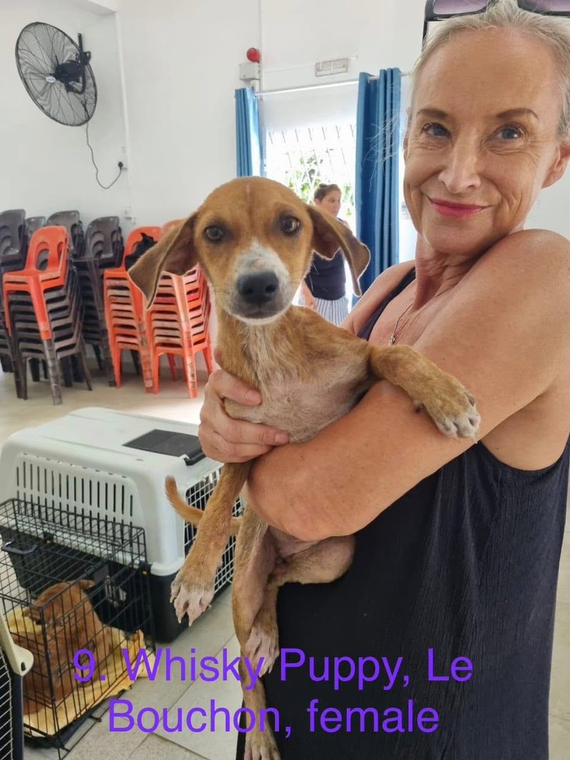 Molly and Mable Find Their Forever Homes