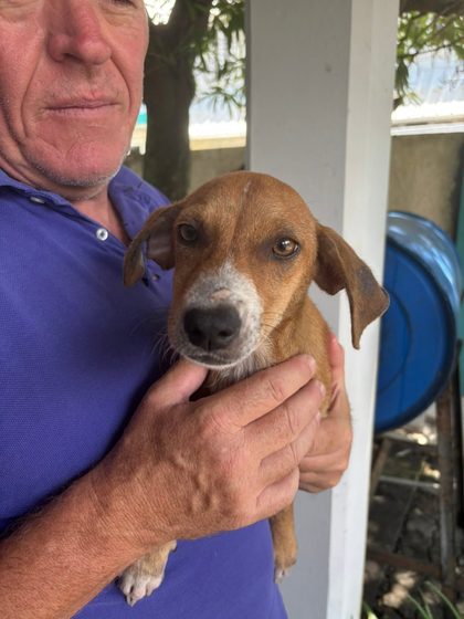 Molly and Mable Find Their Forever Homes