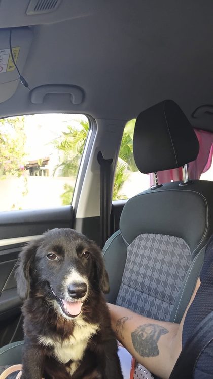 Molly and Mable Find Their Forever Homes