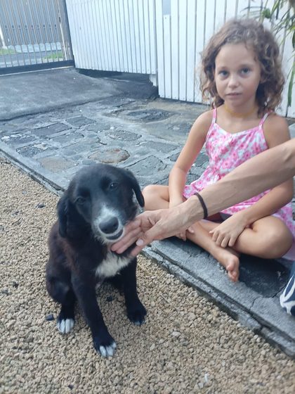 Molly and Mable Find Their Forever Homes